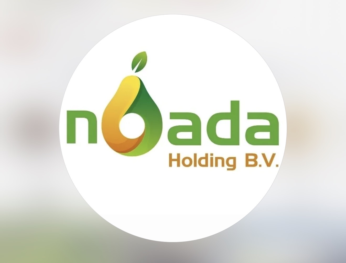 Noada Holding B.V. logo